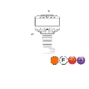 FL403.1paint.webp