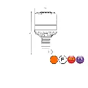 FL407.2paint.webp