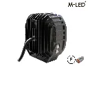 VS1169 fleetled02.webp