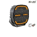 VS1169 fleetled01.webp