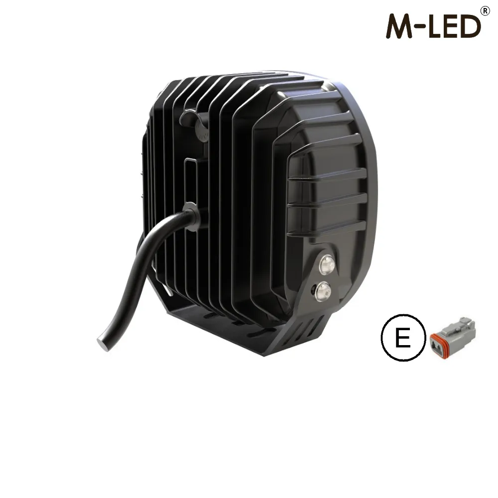 VS1169 fleetled02.webp